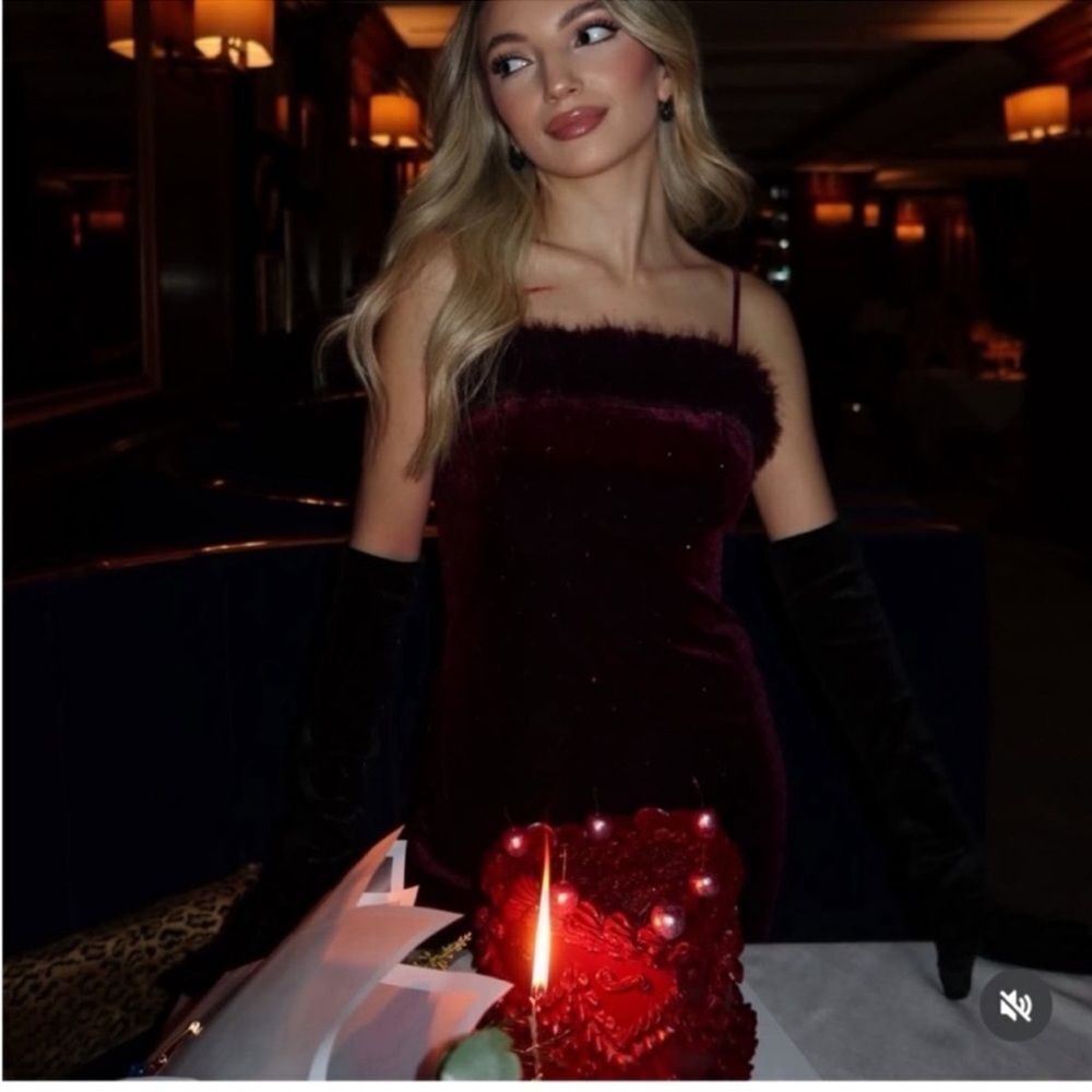 ZARA VELVET BEADED FAUX FUR MIDI DRESS - Picture 5 of 13